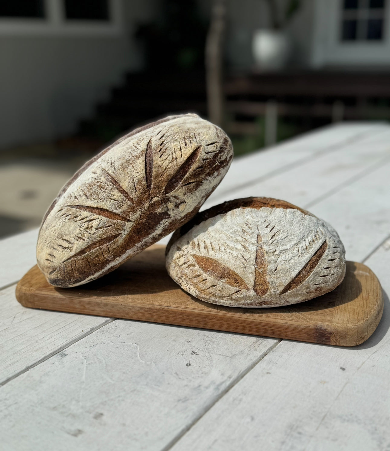 Sourdough loaf