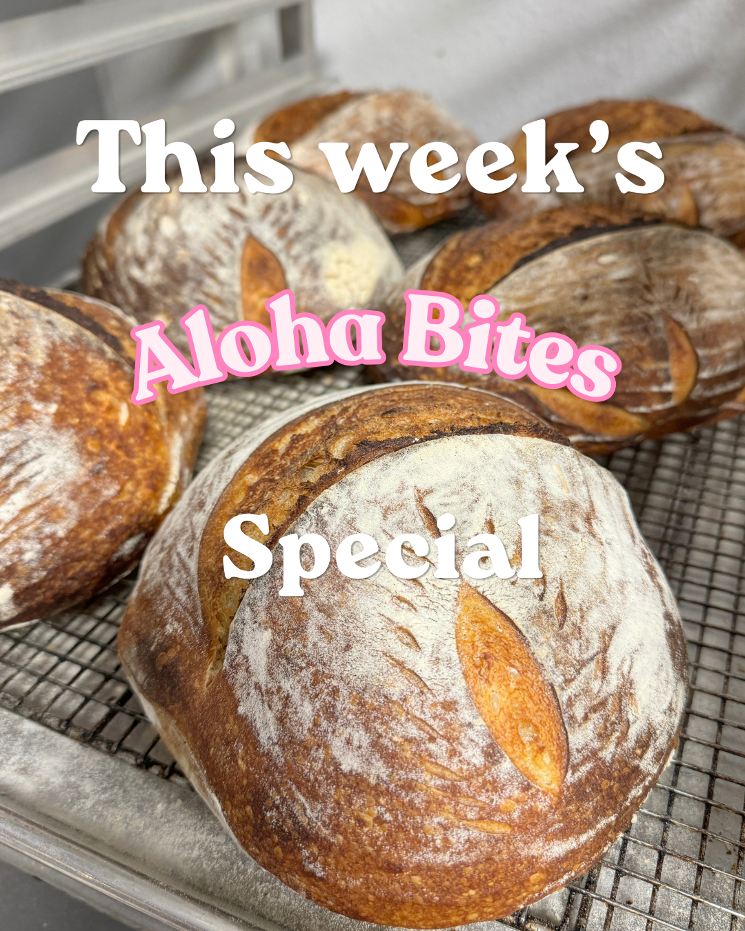 Weekly Sunday Special