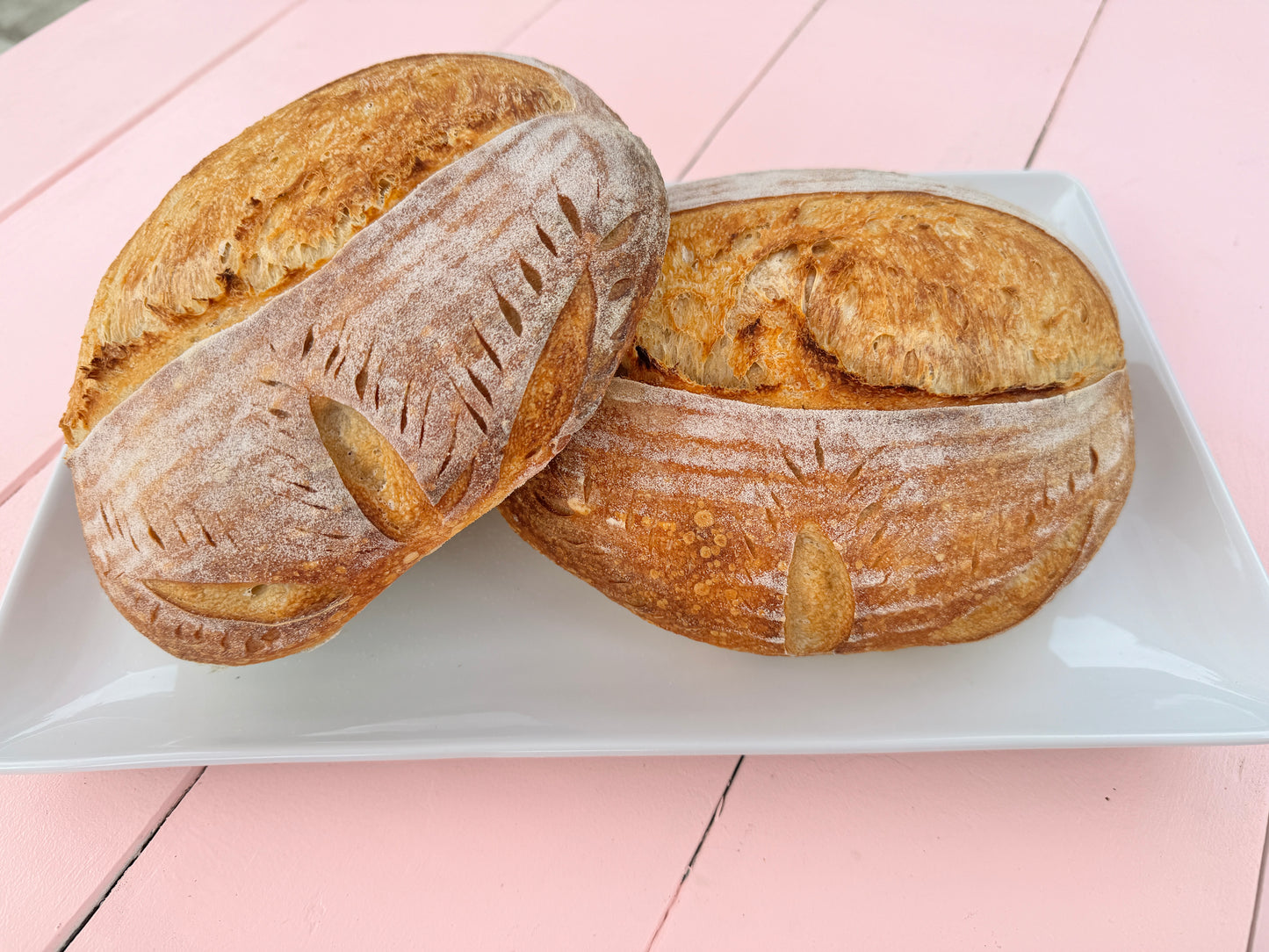 Beginner Sourdough Class - Sunday, February 23 - 4:00 PM - 6:00 PM