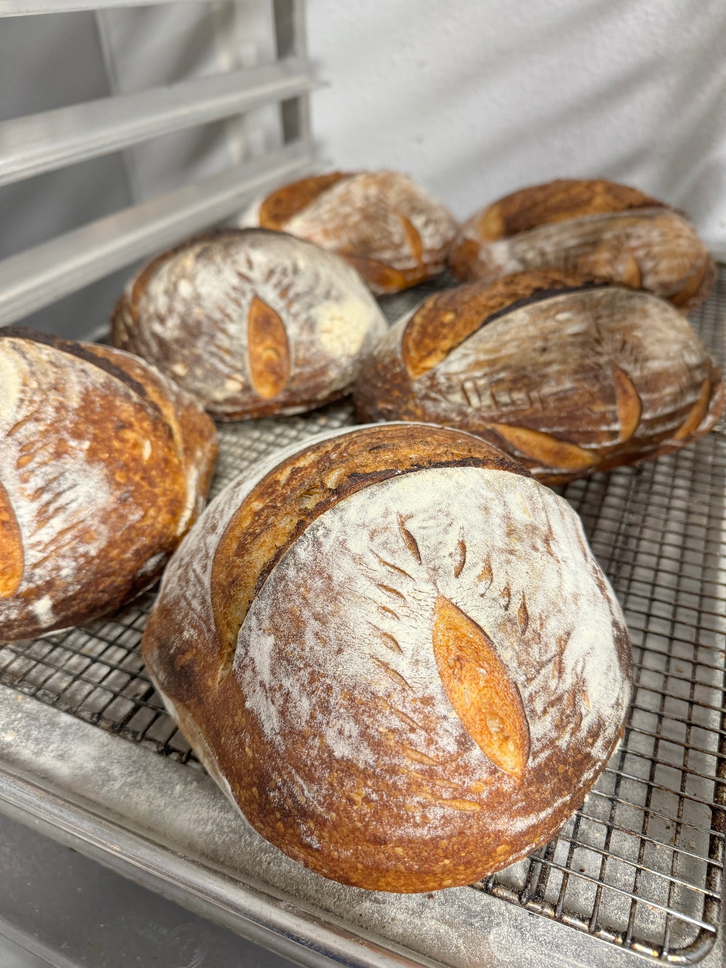 Beginner Sourdough Class - Sunday, February 23 - 4:00 PM - 6:00 PM